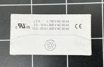 Fuse 6,3x32 1A FF (super-quick-action)