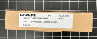 RAFI RAFIX 16 Keylock-Switch, latching 1.30.076.301/0000